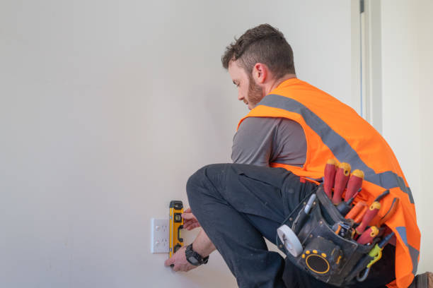 Best Electric Panel Repair  in Narrows, VA
